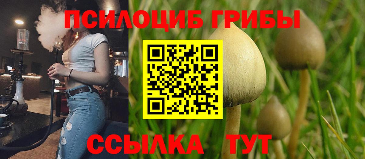 Галлюциногенные грибы GOLDEN TEACHER  Псилоцибиновые грибы MAGIC MUSHROOMS  Грязи  Вход с VPN 